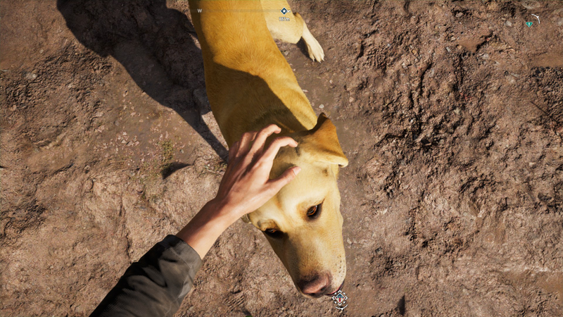 Illustration for article titled Far Cry 5 Has Some Very Good Dogs